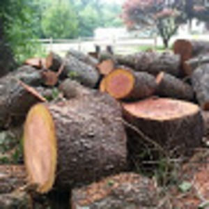 Meet your Posher, Alan